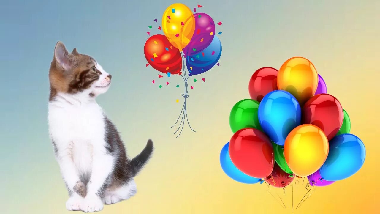 Кошка с воздушными шариками. Кот на воздушных шариках. Котик с шариками. Котик с воздушными шарами. Шарик кошка.