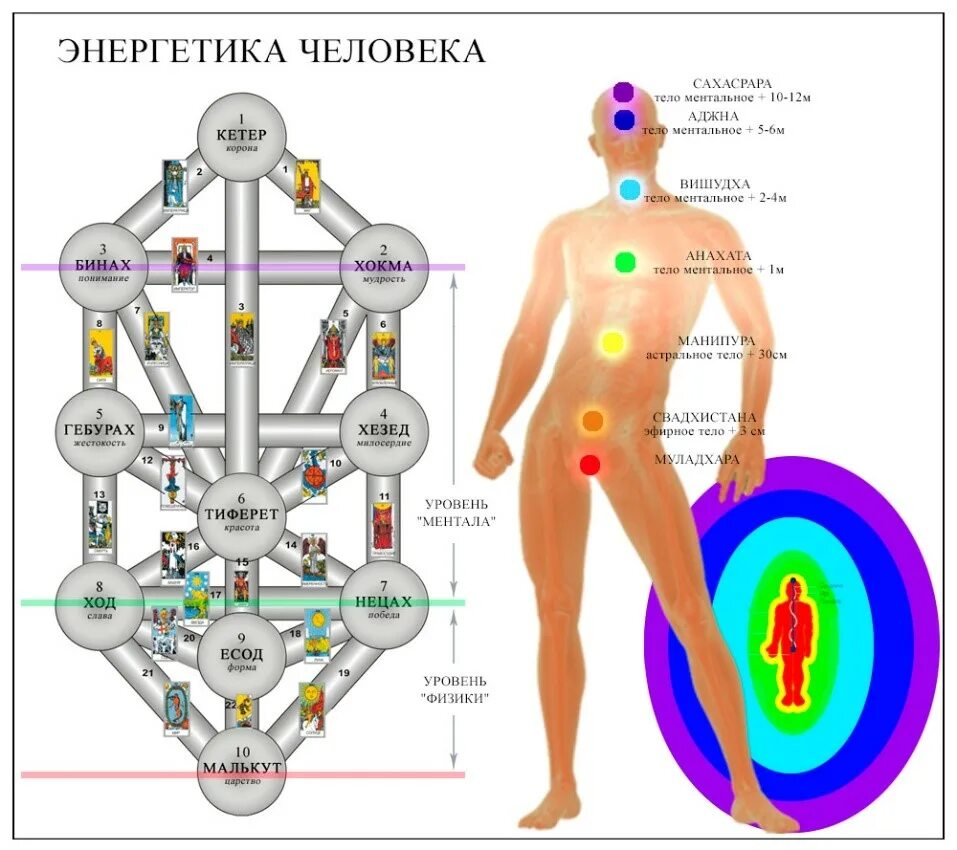 Строение энергетических. Энергетическая структура человека. строение энергетического тела. энергетические каналы человека схема. уровни энергии человека.