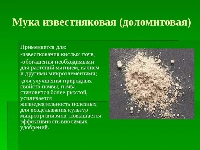 Из чего делают доломитовую муку