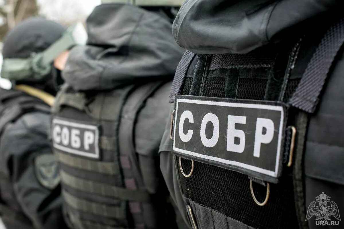 Соб р. Собр эстетика. собр надпись.
