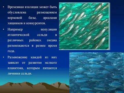 Примеры географической изоляции