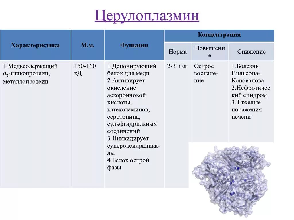 Церулоплазмин функции биохимия. Функции церулоплазмина крови. Белок плазмы крови церулоплазмин. Церулоплазмин норма в крови. Церулоплазмин что это такое