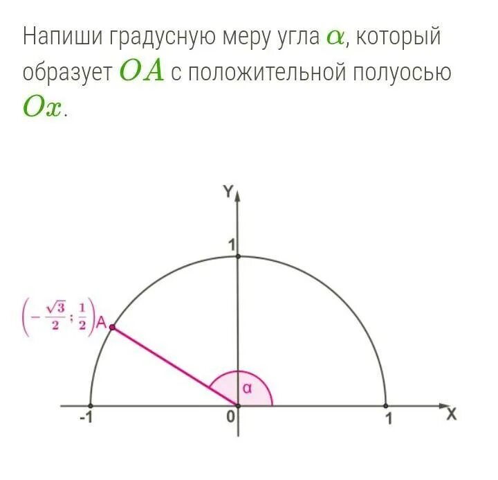 Определите градусную меру точки