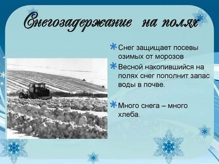 Сколько человек в зиме