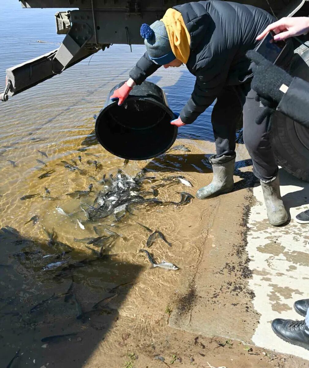 Водорослям крышка. Водорослям крышка экологический проект. Водорослям крышка экологический проект Амурская область. Водорослям крышка экологический проект Амурская область фото.