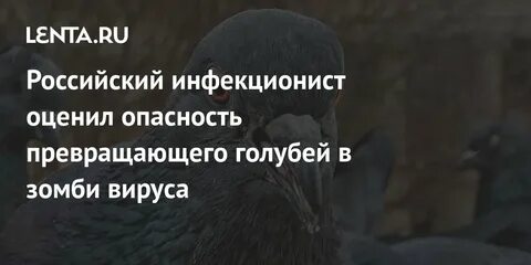 Человек превратился в голубя