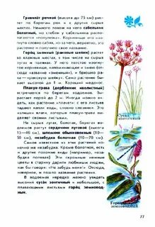 Атлас определитель 3 класс окружающий звезды