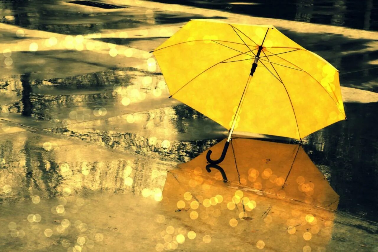 Зонт желтый. Зонт под дождем. Осень дождь. Дождь зонтик. Музыка плохой погоды