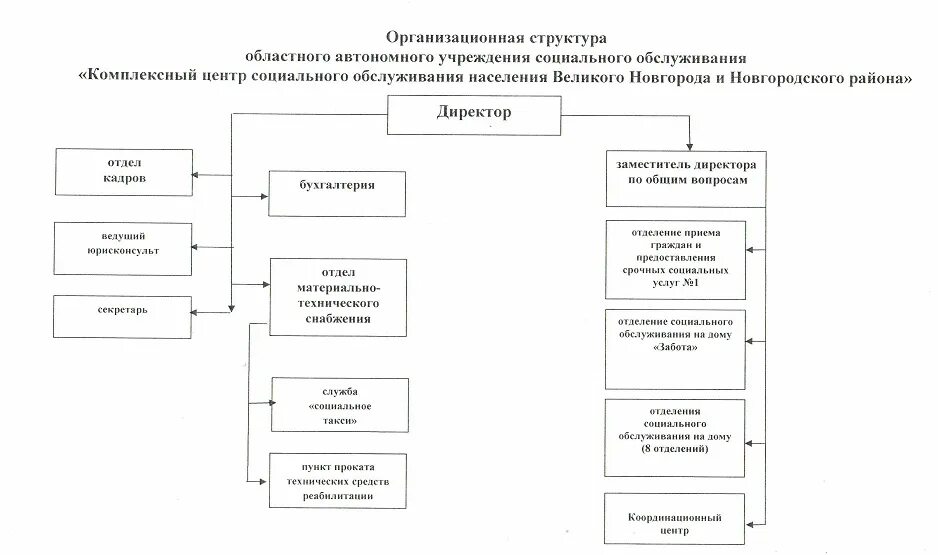 информационные системы социальной защиты населения. структура центра соц защиты. структура органов опеки и попечительства (иерархия). структура учреждения социальной защиты. структура управления центра социального обслуживания.