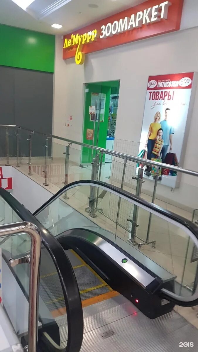 лемуррр магазин зоотоваров липецк. ле'муррр липецк. зоомагазин аквапарк липецк. ле муррр зоомагазин калуга грабцево. лямуррр магазин для животных.