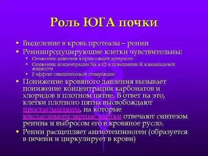 Юга почек