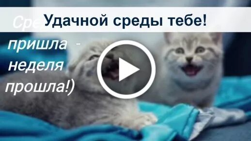 Придти в среду