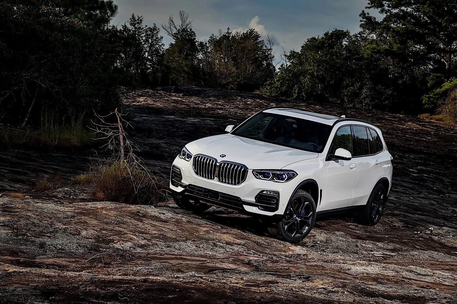 Почему бмв икс 5. Bmw x5 g05. bmw x5 xdrive30d. бмв икс 5. бмв икс 5 g05.