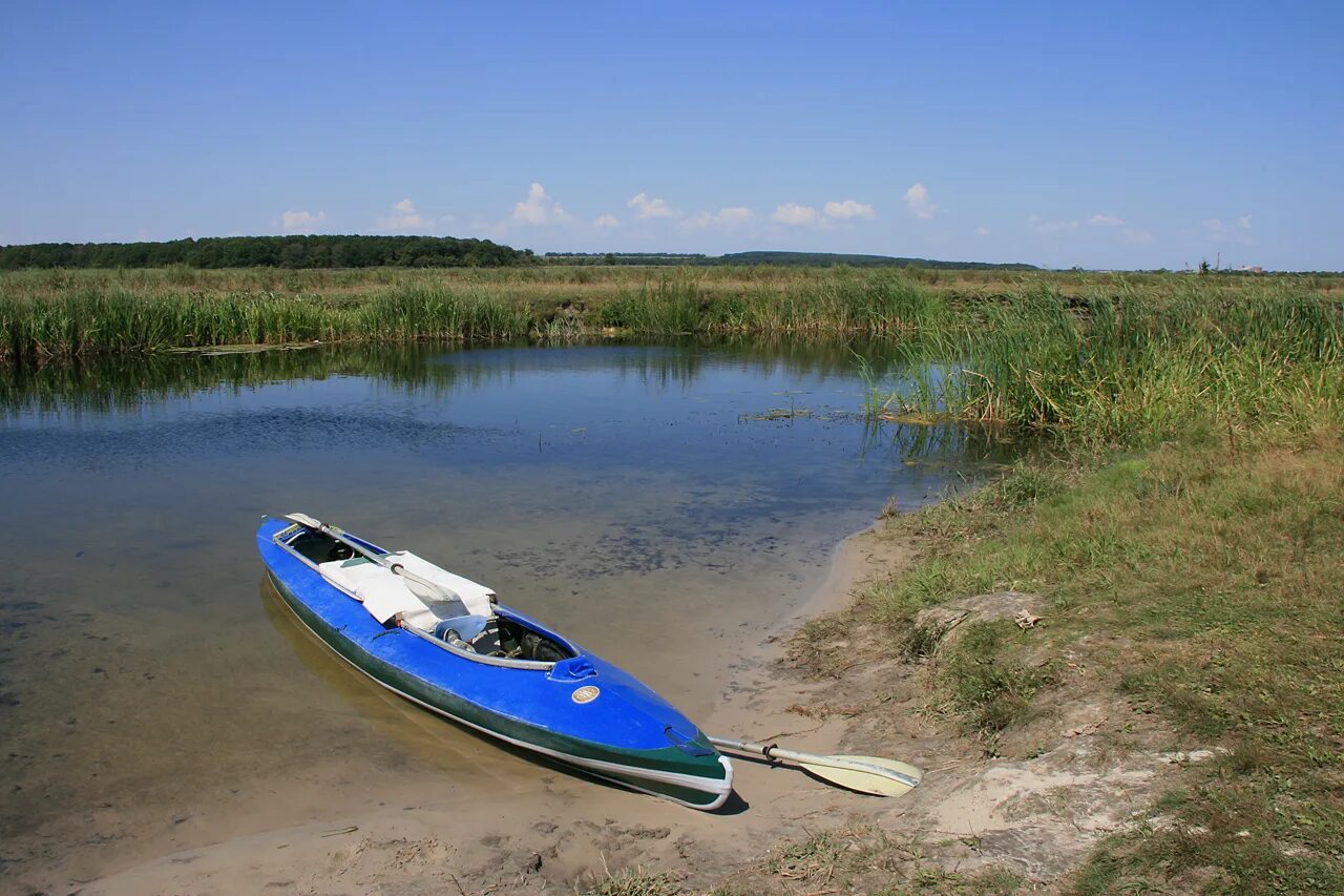 Битюг полуприцепы. Бортовой тентованный полуприцеп скания. Полуприцеп lwy9402e. Река битюг бобров. Тонар 97861 рефрижератор.