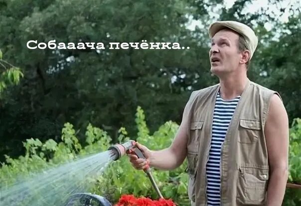 Где добронравов из сватов. Где добронравов из сватов