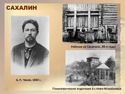 Чехов сахалинский