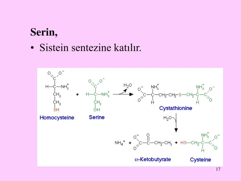 Тир формула. Серин в цистеин. Реакция цистеин и треонин. Sistein aminokislatasi. Цистатионсинтаза.