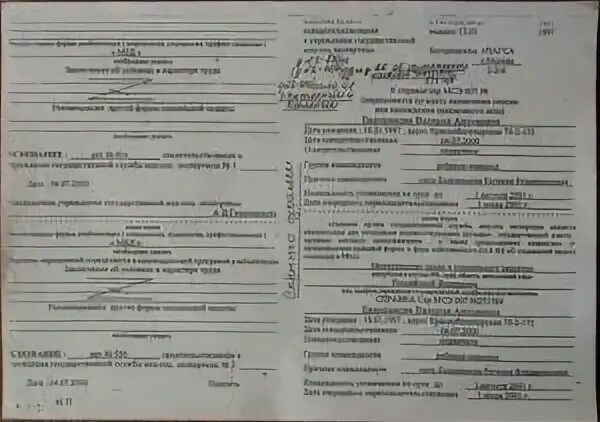 Заполнение формы 88. Заполнение формы 88