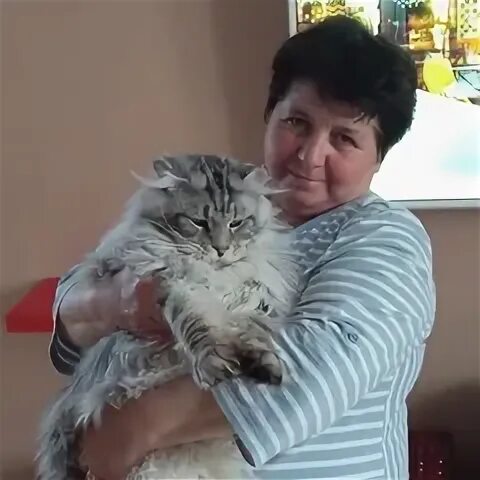 Коротких люба