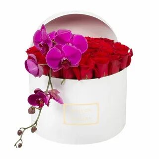 Maison des fleurs цветы