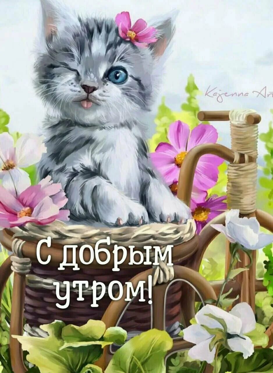 Пожелание с добрым утром с кошками. Открытки с добрым утром. открытки с добрым утром красивые. аткрытка с дробрым утром. доброе утро котенок.