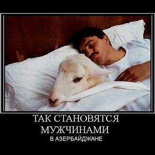 Приколы азербайджанцев