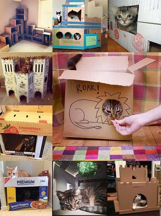 Домик для кошки из картонной коробки. Домик для котёнка из коробки. Домик для кошки из картонных коробок. Дом для кошки из картона.