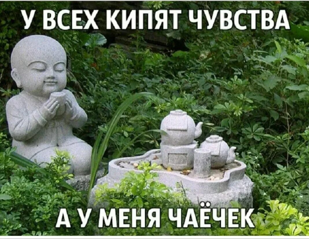 Смешные плакаты на свадьбу. Советы от котиков. Я расцветаю вновь пушкин. Здоровью моему полезен русский холод. Стихотворение пушкина унылая пора.