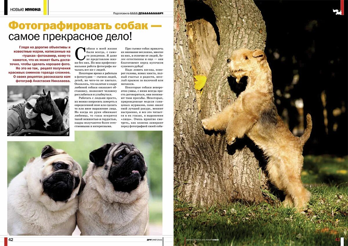 Сайт журнала друг. Друг собак журнал. Журнал мой друг собака. Журнал друг собак 2021. Маленький друг журнал.