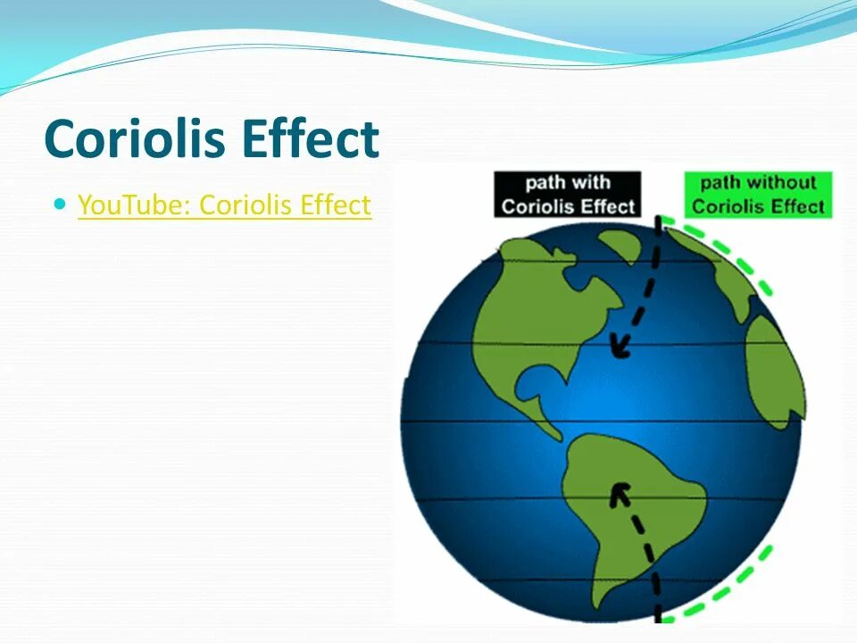 Улица нью-йорка без людей. Дорожка в лесу. Дорожка в лесу. Without path. Экотропа лесная тропа.