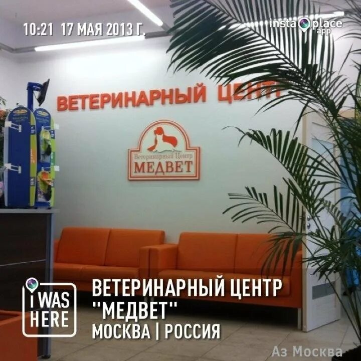 Медвет ленинский. Клиника МЕДВЕТ. МЕДВЕТ ветеринарная клиника Москва. МЕДВЕТ на Ленинском 123.