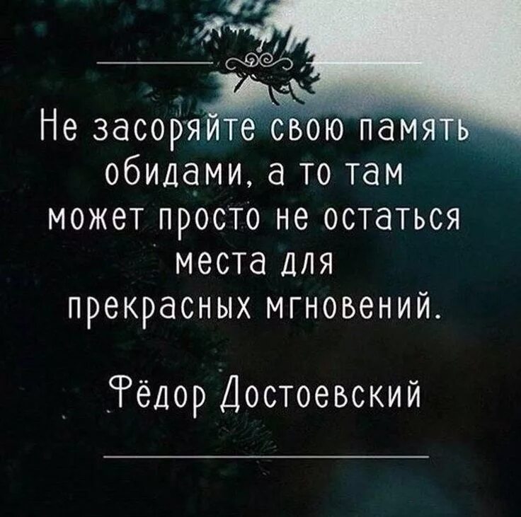 Цитаты о памяти человека. Цитаты о памяти человека. Цитаты про память. Фразы про воспоминания. Цитаты о памяти человека.