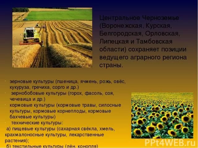 Презентация Растениеводство - скачать презентацию