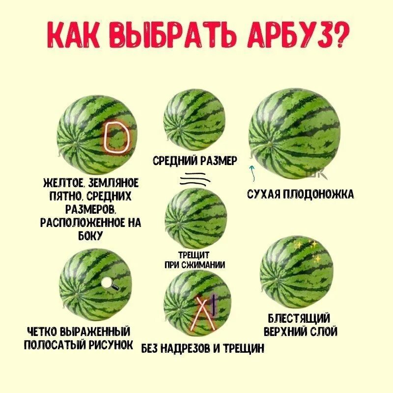 Как выбрать сладкий арбуз девочку. Как выбрать арбуз. средний арбуз. памятка по выбору арбуза. памятка как выбрать арбуз.