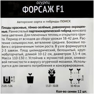 Огурец сорт форсаж