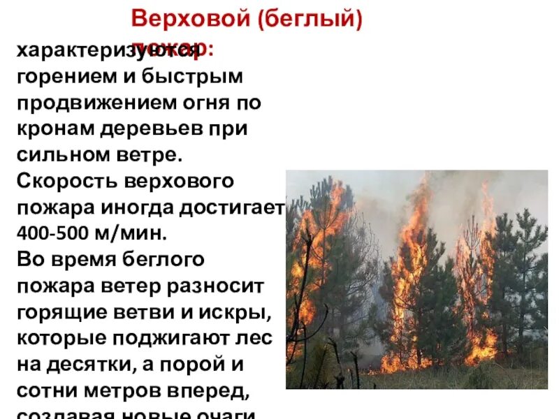 Сильный верховой пожар