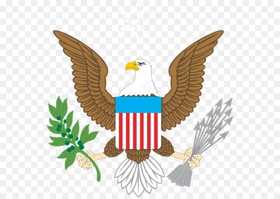 Райская птица на гербе. Белоголовый Орлан на гербе США. Американский белоголовый Орел. Орел американский геральдика. Соединённые штаты Америки герб.