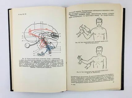 Пособие архангельская