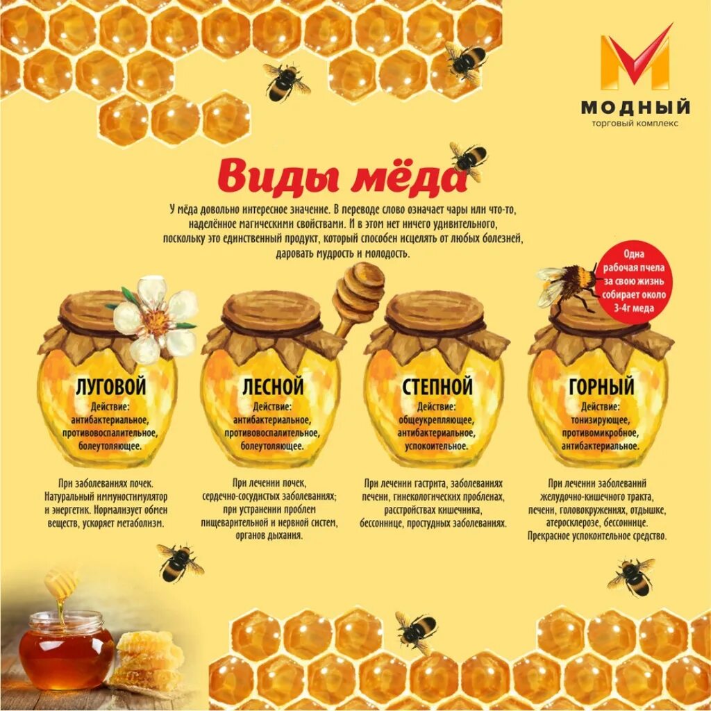 Сколько делать мед. Правильный мед. Правильные пчелы правильный мед. Мёд фирма. Правильные пчелы делают правильный мед.