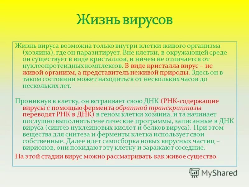 Продолжительность жизни вирусов. Сколько живут вирусы вне организма. Условия жизни вирусов. Жизнь с вирусами. Сколько живет вирус на поверхности