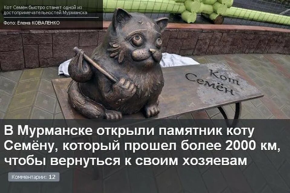 Кот из мурманска история. Памятник коту семёну в мурманске. памятник кота семена в мурманске. кот семён мурманск.