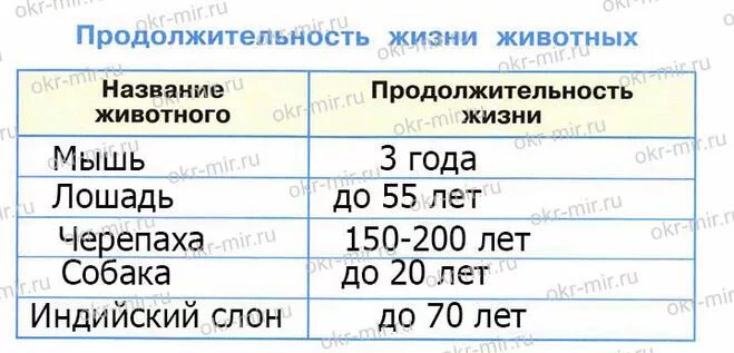 Продолжительность жизни особи. Продолжительность жизни животных таблица. Продолжительность жизни животных окружающий 1 класс таблица. Продолжительность жизни животных 1 класс окружающий мир таблица. Продолжительность жизни разных животных таблица.