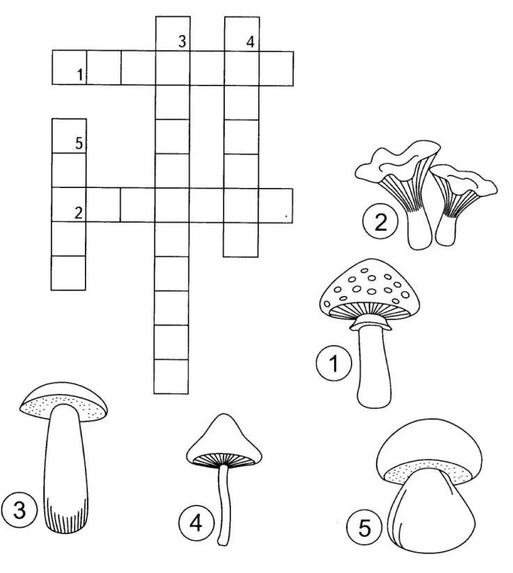 Составить кроссворд грибы. Грибы задания для детей. Задания на тему грибы для дошкольников. Задания по теме грибы для дошкольников. Задания про грибы для детей 5-6 лет.