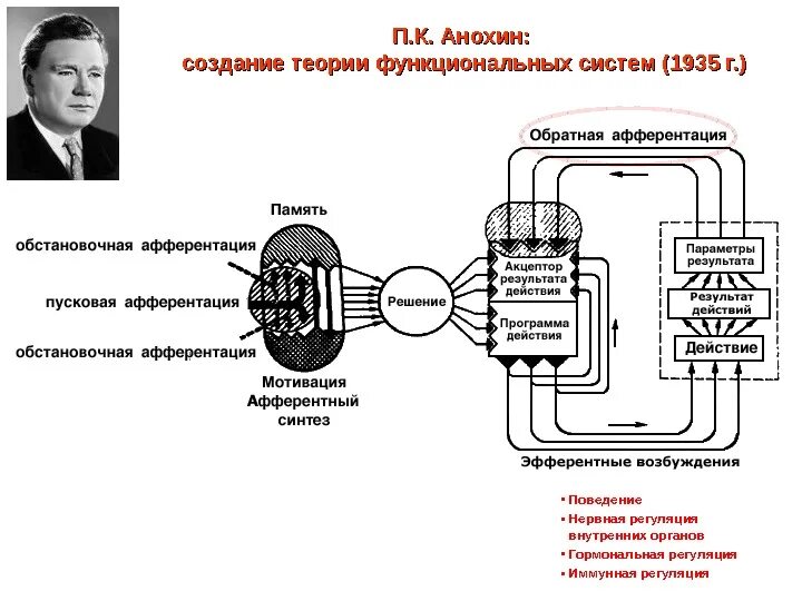 Функциональная система движения. Теория функциональных систем Анохина схема. Анохин функциональные системы схема.