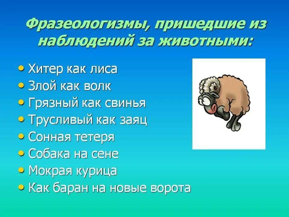 Хитрый и скрытный заменить фразеологизмом. Фразеологизмы про животных. Фразеологизмы с названиями животных. Фразеологизм о животном. 5 Фразеологизмов о животных.