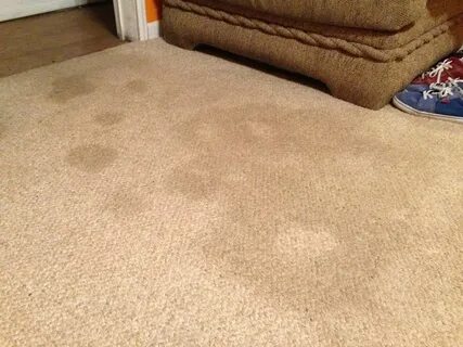 This is a carpet