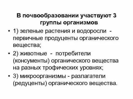 Участвуют в почвообразовании