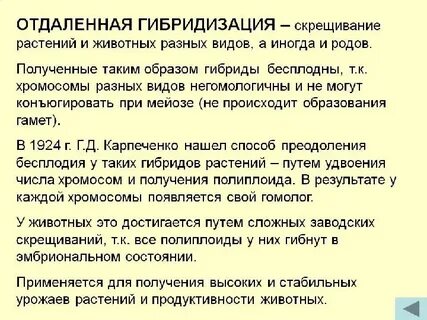 Бесплодные гибриды