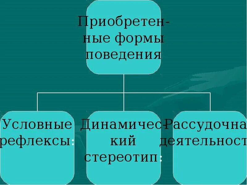 Приобретенные формы поведения человека. Биология врожденные и приобретенные формы поведения. Врожденные и приобретенные программы поведения конспект. Биология 8 класс врожденные и приобретенные формы поведения. Формы поведения.