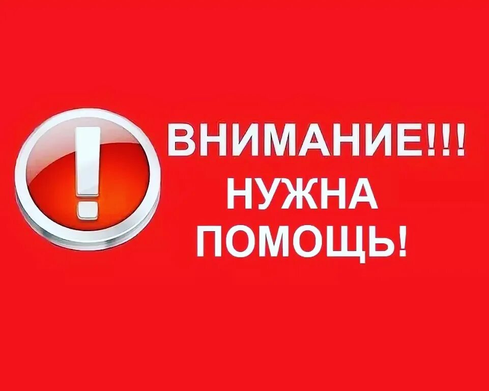 Помогите нужен сайт. Внимание нужна помощь. Внимание важная информация. Очень важная информация. Очень важно.